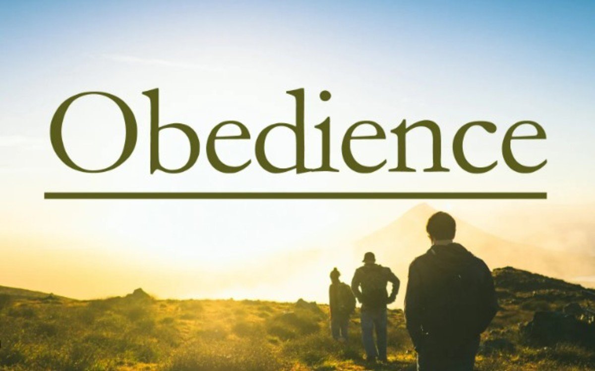 Obedience in the Wilderness