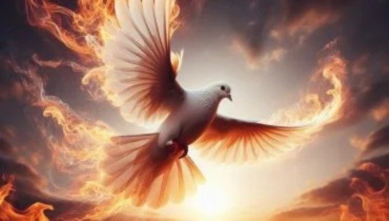 The Spirit's Regenerating Work - The Holy Spirit Dove