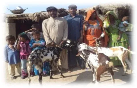 Beneficiary Family with Beetal Goats in Rural Pakistan