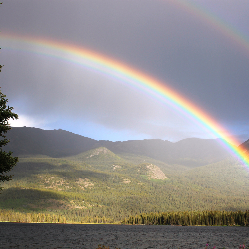 Reflecting His Purity