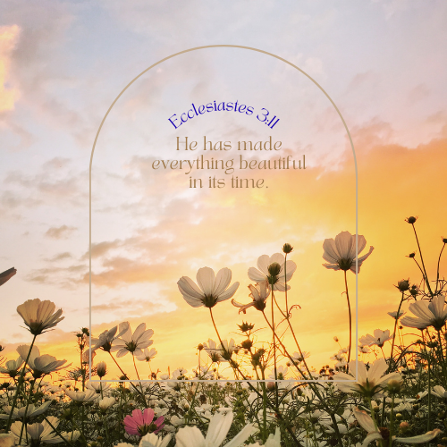 Connected to the Vine