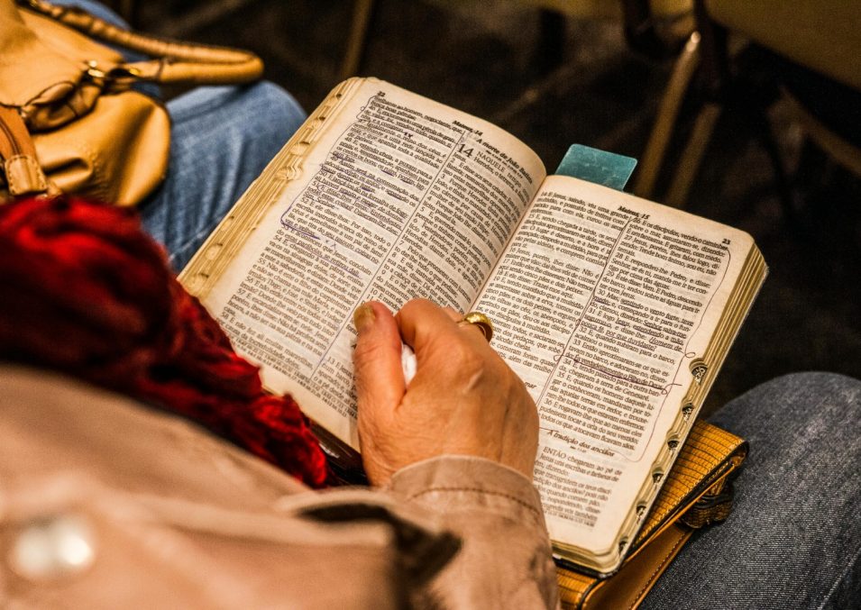 WhatsApp Image 2025-07-03 at 4.19.44 PM (1)