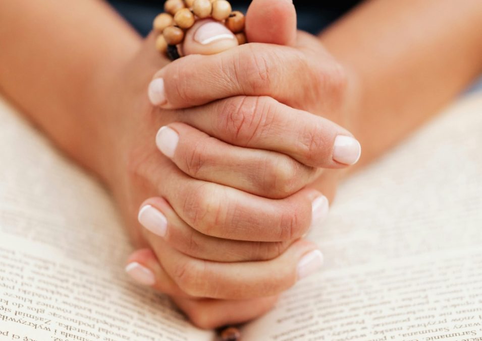 WhatsApp Image 2025-07-03 at 4.19.45 PM