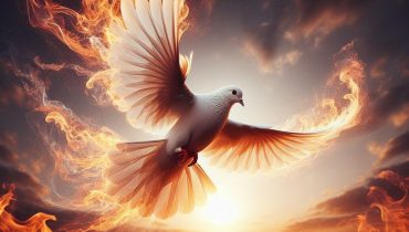 WhatsApp Image 2025-07-10 at 2.30.18 PM